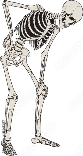 Back Pain Skeleton