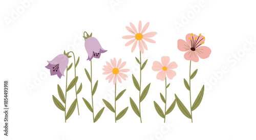 A simple and charming illustration of various pastel-colored wildflowers, including bluebells and daisies, growing in a row on white background.