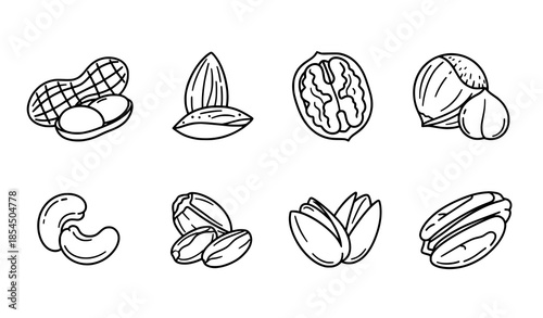 Nut Outline Icons Set Assorted Nuts Line Vector for Web Design