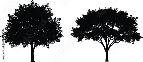 Black tree silhouettes set, natural forest plants with leaves and branches, detailed organic elements, flat vector icons isolated on white background, landscaping.