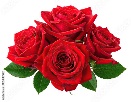 Close-up of four vibrant red roses with green leaves