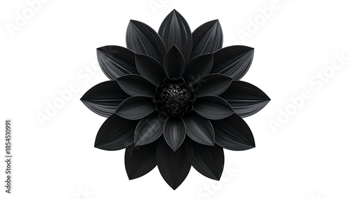 A dark, detailed, symmetrical floral illustration of a layered flower against a black backdrop