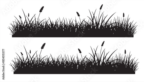 Grass silhouettes isolated on white background