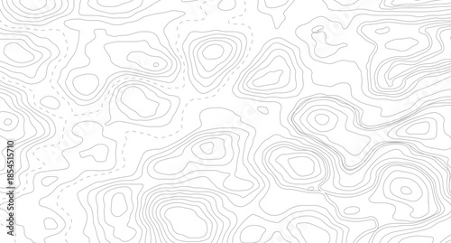 Vector geographic contour map. Background of the topographic map. Topographic map lines, contour background.
