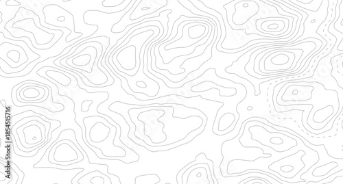 Topography background. Vector banner. Topography map background. Vector geographic contour map. Background of the topographic map.