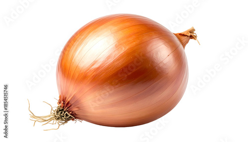 Whole bulb onion on a transparent background, showcasing brown, layered skin and roots