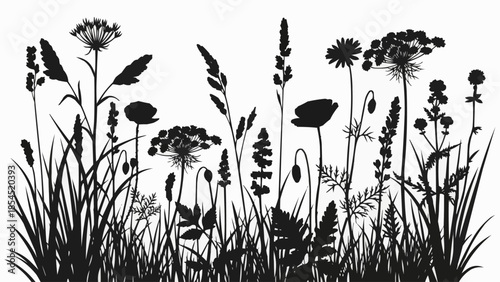 Black Silhouette of Wildflowers and Grasses.