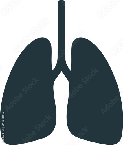 Vector icon set design featuring a shovel and spade illustration alongside a surfboard and rocket sign for a surfing holiday art board medical body anatomy