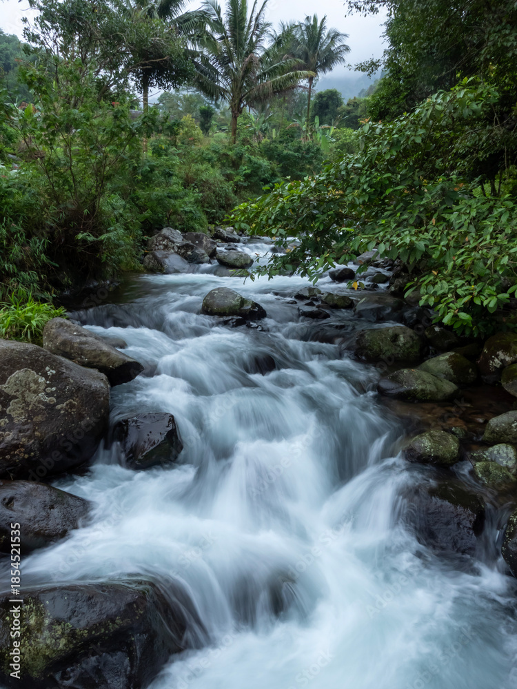 Obraz premium Flowing river passing through tropical forest with rocks and dense green vegetation. Long exposure water effect creates a calm and natural atmosphere