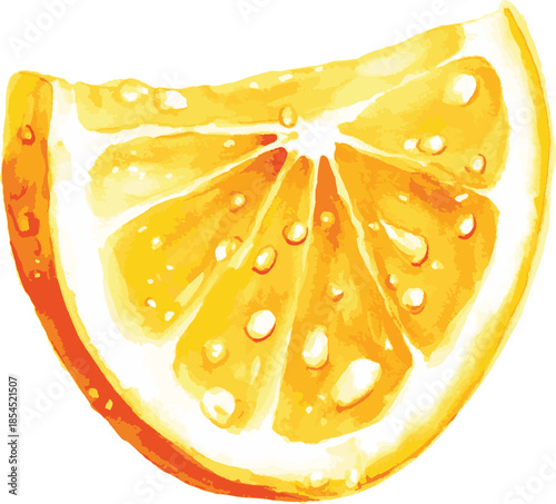Vibrant Watercolor Orange Slice with Dew Drops