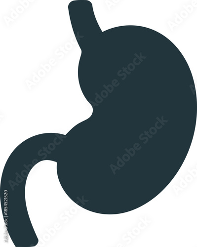 Human body anatomy vector illustration of a cute happy cat with a fish and a ball while a mouse and squirrel join the fun character art design