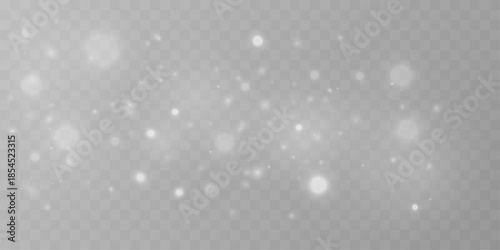 White dust particles drift through luminous bokeh with shimmer. Sparks, glitter, and radiant highlights form elegant festive light. White png vector illustration.