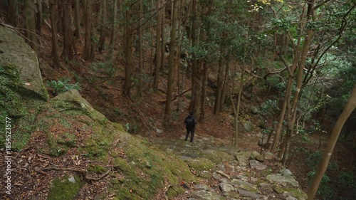 世界遺産・熊野古道大辺路「新田平見道」和歌山県串本町 World Heritage Kumano Kodo Ohechi – Nittahiramimichi, Kushimoto, Wakayama