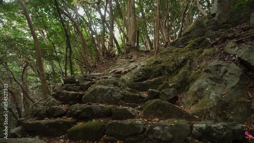 世界遺産・熊野古道大辺路「新田平見道」和歌山県串本町 World Heritage Kumano Kodo Ohechi – Nittahiramimichi, Kushimoto, Wakayama