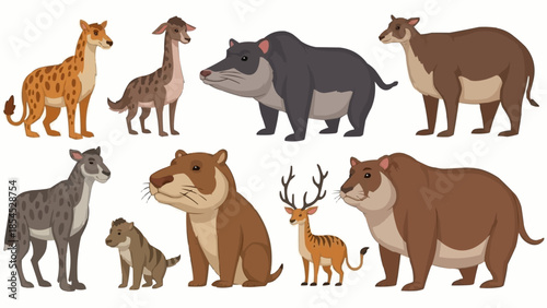Collection of Various Wild Animals Illustrated.