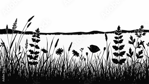 Silhouette of Wildflowers and Grasses.