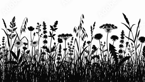 Black Silhouette of Wildflowers and Grasses.