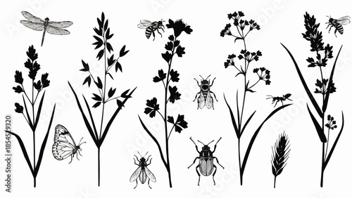Collection of Insects and Plants Silhouettes Vector Illustration.
