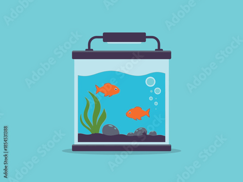 Illustration of two orange fish swimming in a tank with plants and rocks from a front viewpoint
