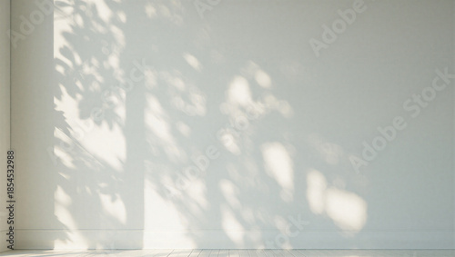 Soft light and shadows on a white wall