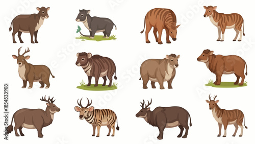 Collection of Various Wild Animals Standing.