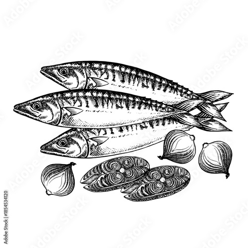 Mackerel with onions. Hand-drawn vector illustration. Black and white image of a fish dish. On a white background. For menus, recipe books, packaging, labels, and invitations.