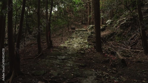 世界遺産・熊野古道大辺路「新田平見道」和歌山県串本町 World Heritage Kumano Kodo Ohechi – Nittahiramimichi, Kushimoto, Wakayama
