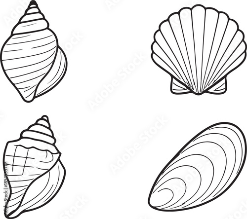Seashell outline set. Vector illustration of sea conch and mussel.