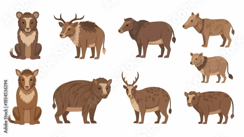 Collection of Various Brown Mammal Illustrations.