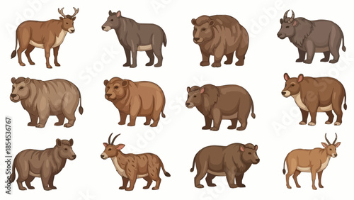 Collection of Various Brown Mammal Illustrations.