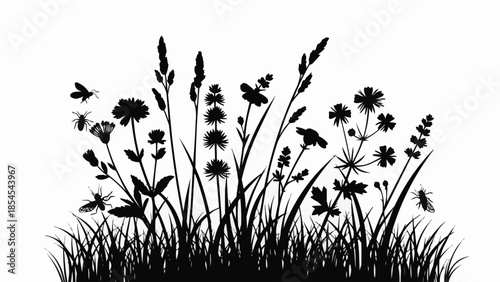 Silhouette of Wildflowers and Grasses.