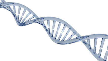 Translucent DNA double helix isolated PNG, genetic code molecule structure for science and medical research on transparent background