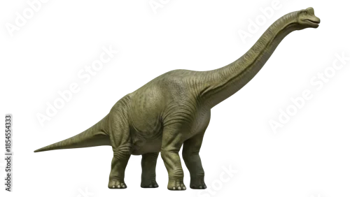 Fototapeta na wymiar Green Brachiosaurus dinosaur isolated PNG on transparent background, prehistoric animal with long neck for educational use
