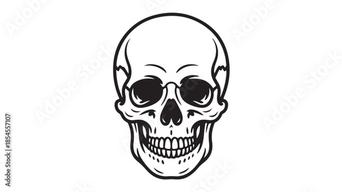 Smiling Skull Illustration on White Background