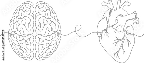 Line art drawing of a brain connected to a human heart by a thin line