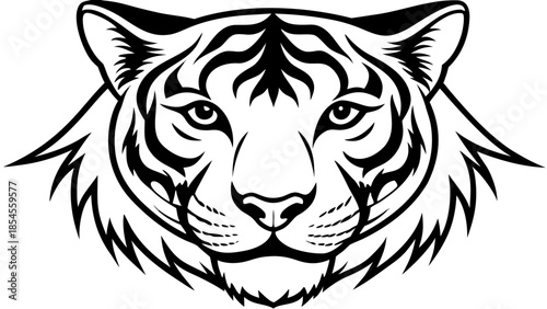 tiger head vector
