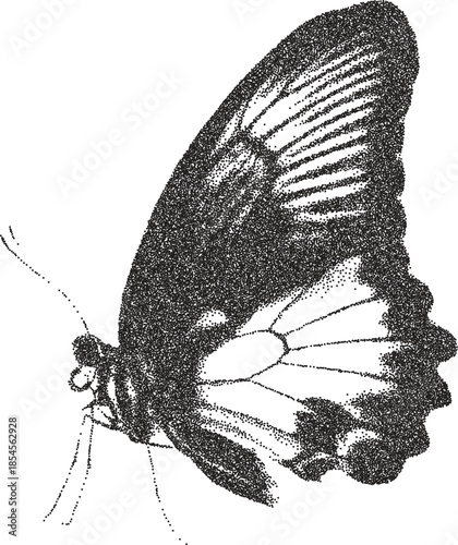 Butterfly y2k retro stipple art wings brutalist halftone vector png transparent, insect 2000s photocopy effect tattoo aesthetic