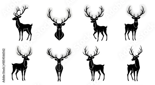 Would you like me to generate a similar descriptive string for another image theme?