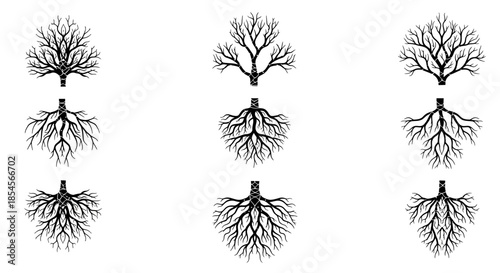 Would you like me to generate a similar descriptive string for another image theme?