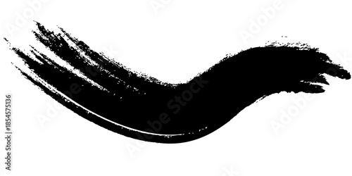 Vector illustration of a black and brown bird of prey close-up, isolated animal in nature, macro caterpillar food