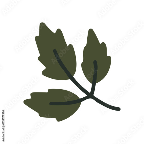 Abstract minimalist leaves branch in olive green, hand drawn boho botanical element, organic foliage icon