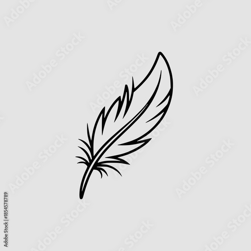 Elegant feather illustration in modern minimalist style