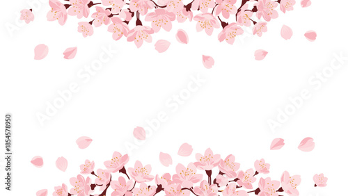 Elegant border design features blooming pink cherry blossom flowers and falling petals at the top and bottom on white.