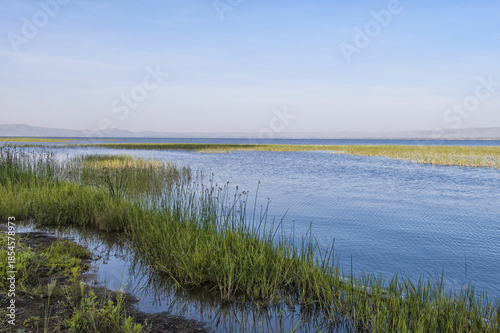 Awasa lake, Ethiopia