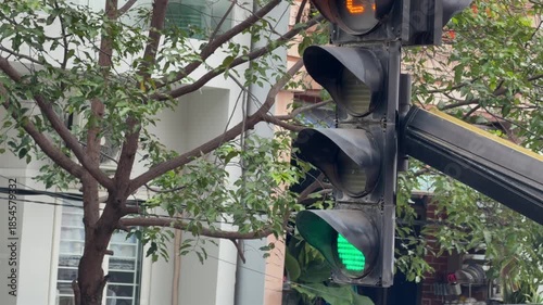 Signals change on a roadside traffic light framed by apartment facades and greenery, reflecting routine transportation order inside a lived city area. City infrastructure.