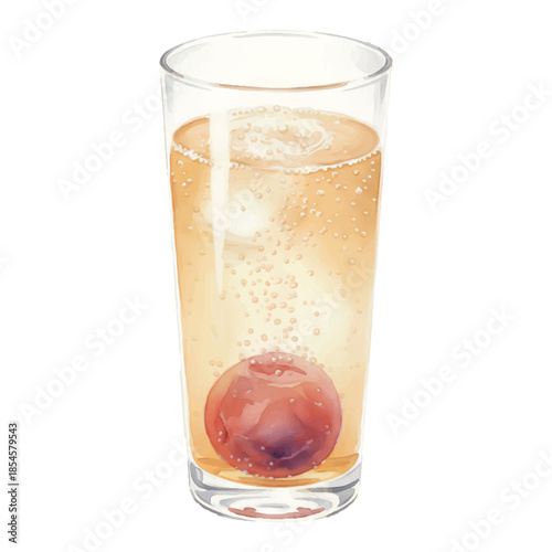 Umeboshi Plum Fizz Watercolor Cocktail Illustration
