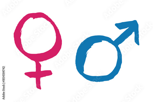 Hand drawn female and male gender identity sign Symbol used to represent sex and gender Single element for print, web, design, decor