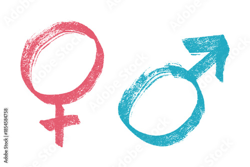 Hand drawn female and male gender identity sign Symbol used to represent sex and gender Single element for print, web, design, decor