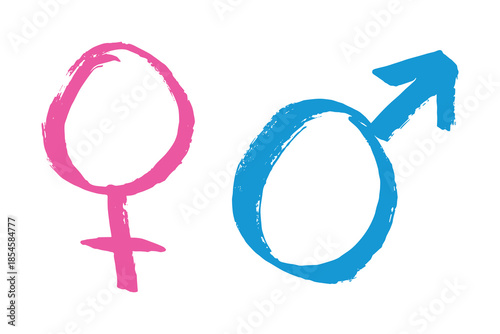 Hand drawn female and male gender identity sign Symbol used to represent sex and gender Single element for print, web, design, decor