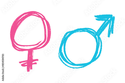 Hand drawn female and male gender identity sign Symbol used to represent sex and gender Single element for print, web, design, decor